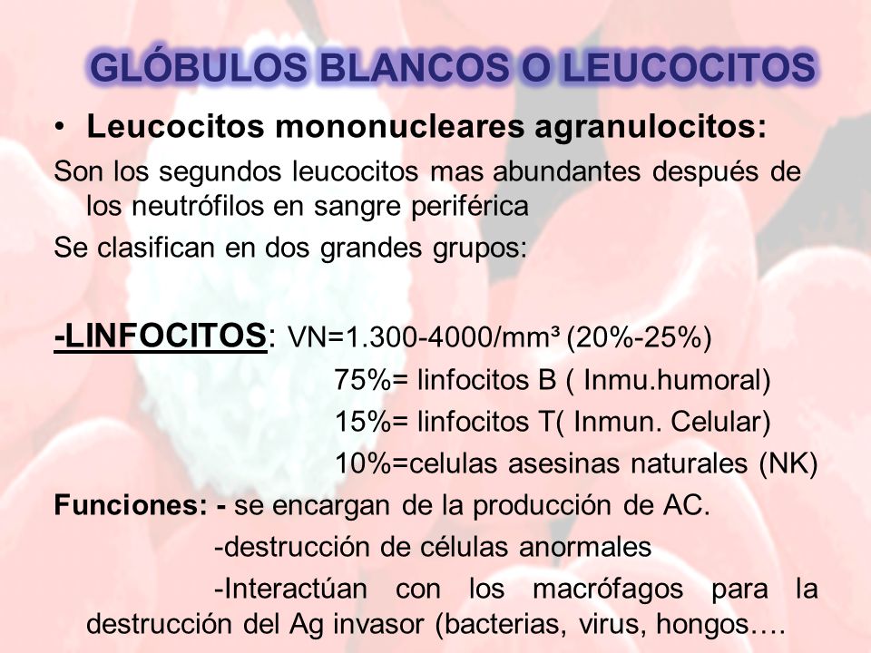 Que es la palabra leucocitosis